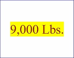 9000 Lbs